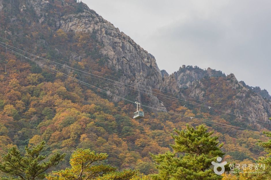 속초 설악산 케이블카