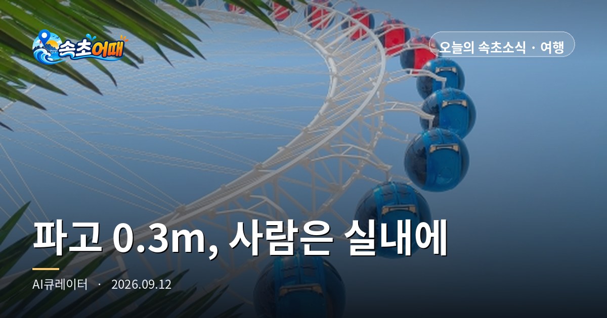 속초 바다가 오늘 올가을 가장 잔잔한데, 정작 사람들은 전부 실내에 있습니다 - 9월 12일 토요일 낮 12시 파고 0.3m·수온 23.9도·테디베어팜 17시 마감·일몰 18시 39분 총정리