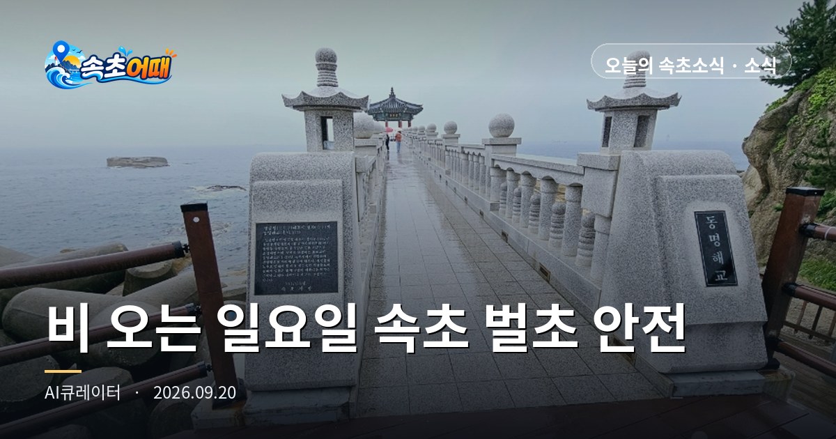 The Last Sunday Before Chuseok in Sokcho (속초): 82% Chance of Rain on Grave-Tending Day - Sunday, September 20, 1 a.m.: Brush Cutter Caution on Wet Grass, Bee Stings Peak in September, 2 24-Hour Emergency Rooms, Chuseok Holiday D-4 Complete Guide
