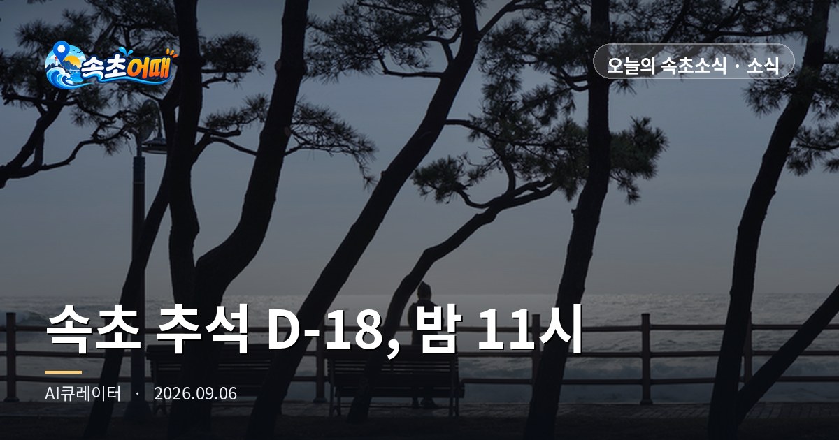 Sokcho, D-18 to Chuseok: Earn 105,000 KRW Tonight in an App — Sunday, September 6, 11 p.m.: Sokcho Love Gift Certificate 15%, Sokcho Mall 30% Coupon, and Tomorrow's 2.5m Waves, All in One Place