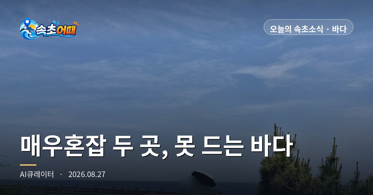 束草闭场第四天,今天'非常拥挤'的两处都是不能下水的海 - 8月27日星期四中午12点 大浦港观景台·外瓮峙大海香气路19点30分入场截止·水温25.9℃总整理