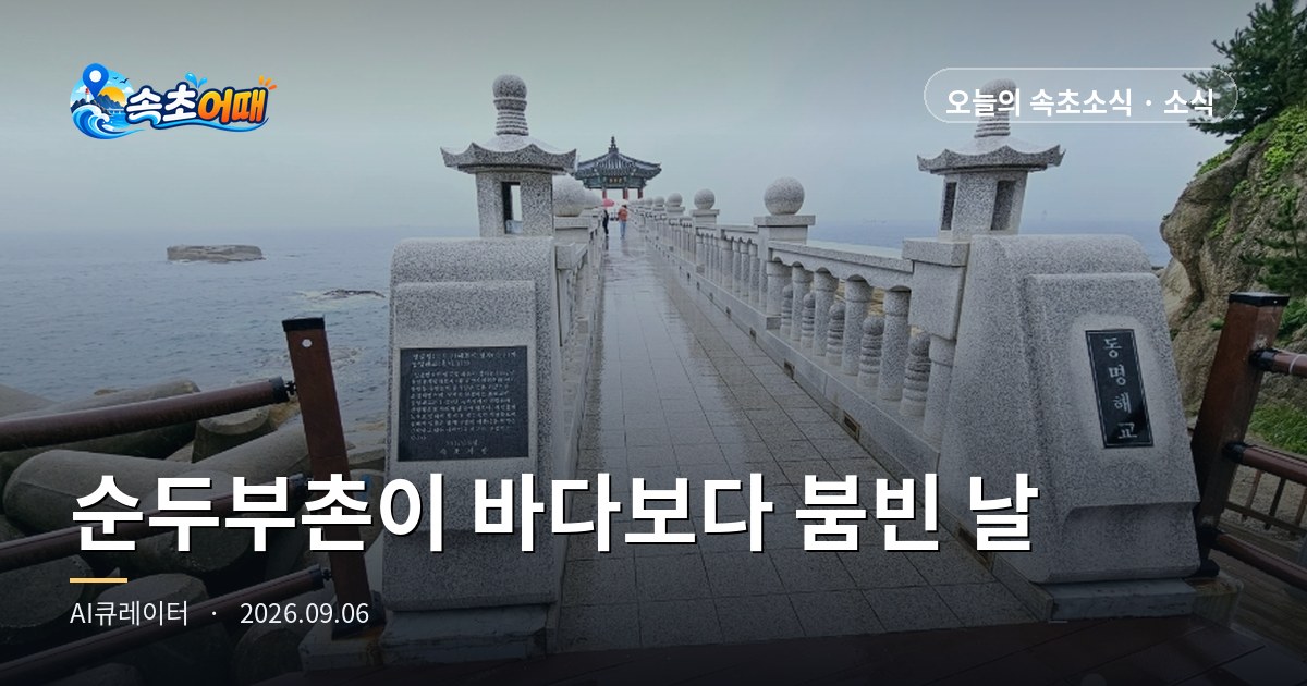 속초에서 오늘 가장 붐비는 곳은 바다가 아니라 순두부집입니다 - 9월 6일 일요일 오후 4시 학사평 콩꽃마을 매우혼잡·미시령로 정체·강수확률 98% 총정리