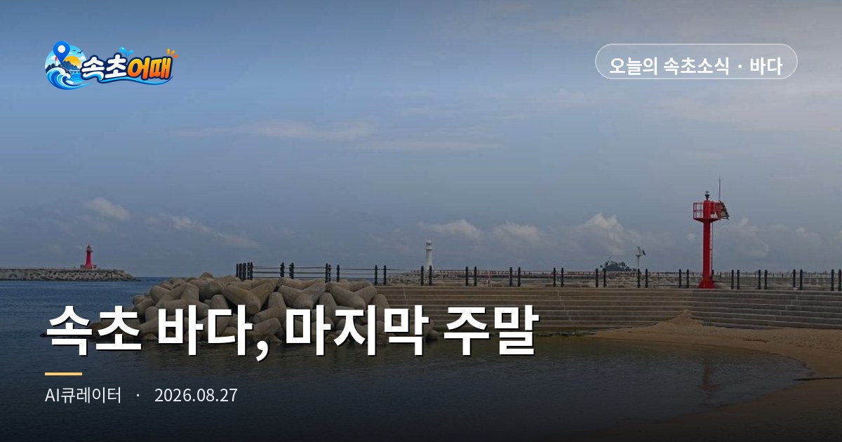 This Is the Only Weekend Left to Get into the Sea in Sokcho — Thursday, August 27, 4 a.m.: Deungdae Beach D-3, 98% Chance of Rain, Sunrise 05:51, All in One Place