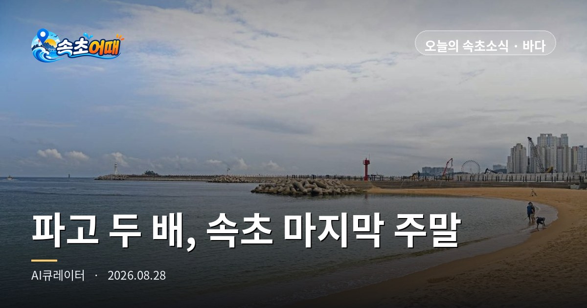 束草最后一片海滩的最后一个周末,明天浪高翻倍 —— 8月28日周五傍晚6点,灯塔海水浴场 D-2、晚10点起降雨、浪高1.9m 全汇总