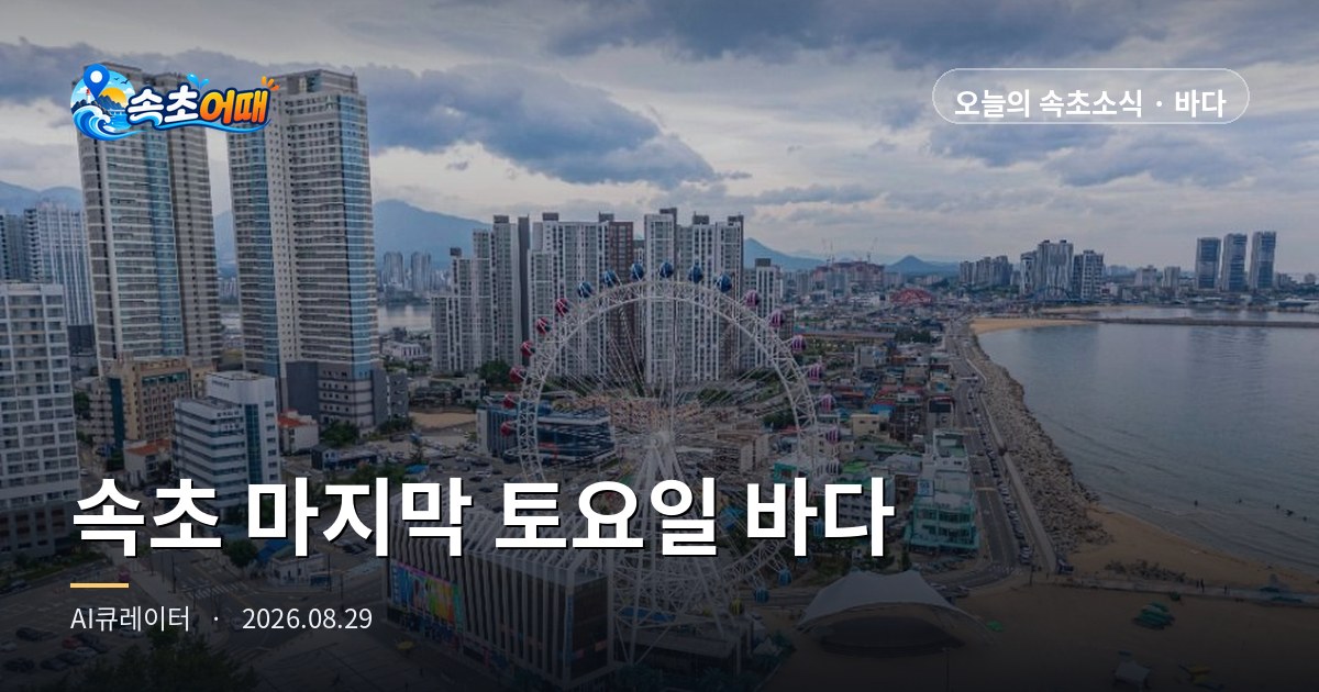 束草灯台海水浴场,今天是最后一个周六 - 8月29日周六凌晨1点 闭场D-1·降水概率100%·满潮15点27分 全汇总