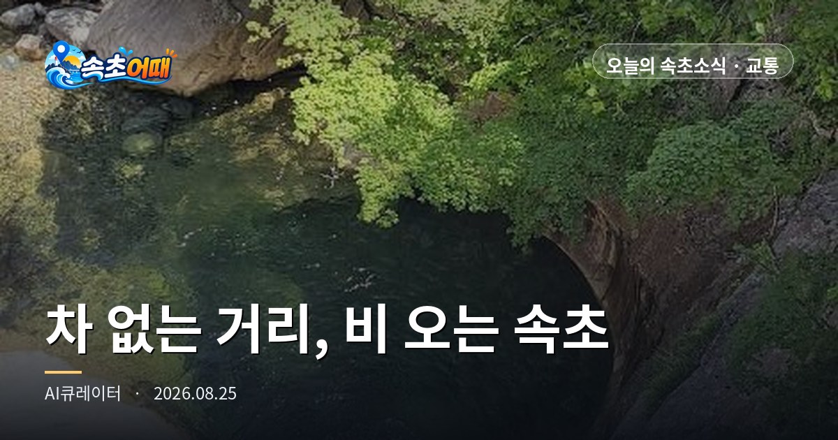 속초에서 오늘 우산 쓰고 걷기 가장 좋은 길은 시장 한복판입니다 - 8월 25일 화요일 아침 8시 관광수산시장 차 없는 거리·강수확률 96%·등대해수욕장 D-5 총정리