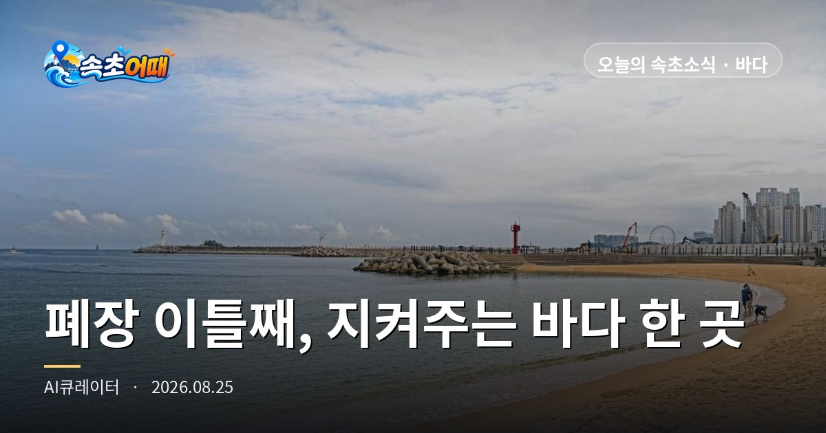 속초 바다가 가장 잔잔한데, 오늘 지켜주는 곳은 한 군데뿐입니다 - 8월 25일 화요일 새벽 폐장 이틀째·수온 26.4도·등대해수욕장 D-5 총정리
