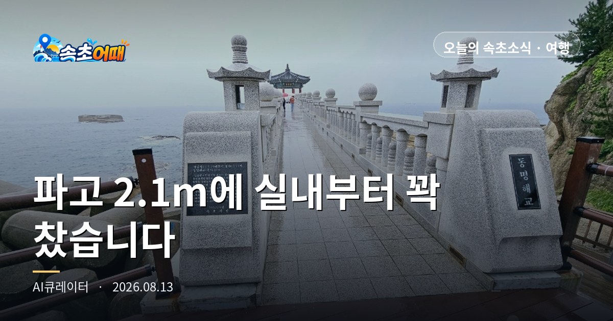 파고 2.1m에 실내부터 꽉 찼습니다 - 8월 13일 비 오는 속초, 혼잡 명소·도로 상황과 우회 코스 총정리