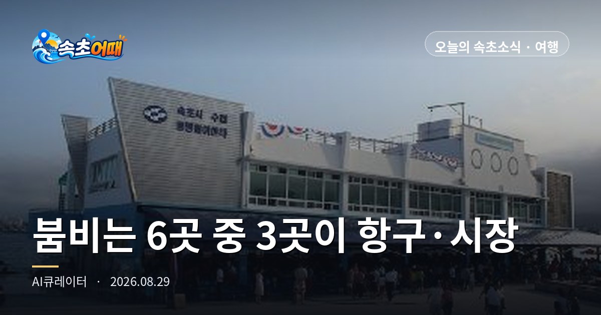 Three of Sokcho's Six 'Very Crowded' Spots Right Now Are Places to Get Raw Fish — Saturday, August 29, 6 p.m.: Crowds at Dongmyeong Port and Jangsa Port, the Market's Car-Free Street Lifted, and Low Tide at 22:18, All in One Place
