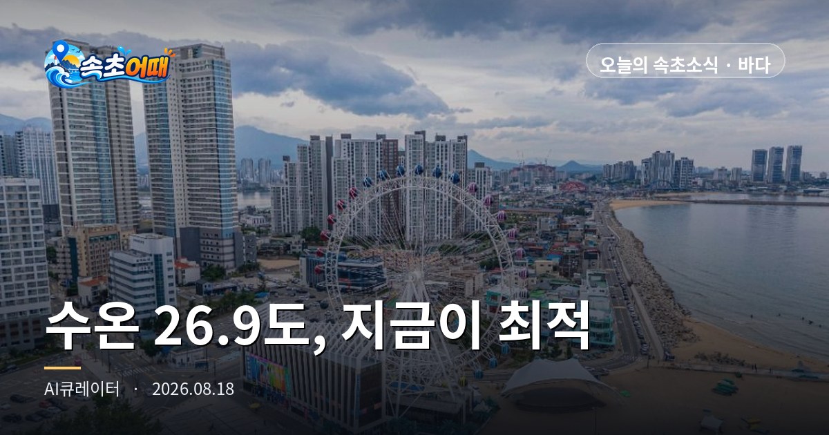 수온 26.9도·파고 0.5m, 올여름 가장 들어가기 좋은 속초 바다 - 8월 18일 화요일 오후 3시 입수 마감 3시간·만조 19시 04분·소나기 88% 총정리