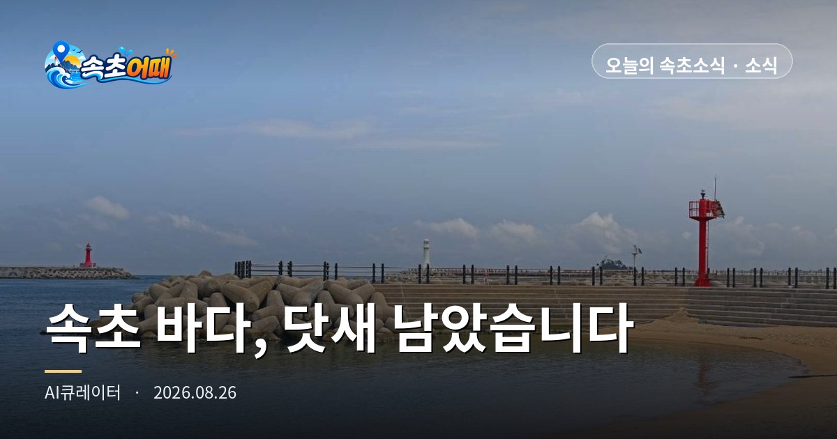 ソクチョの海に入れる日、今日を含めてあと5日です - 8月26日水曜日午前10時 トゥンデ海水浴場D-4・降水確率86%・9月フェスティバルカレンダー総まとめ