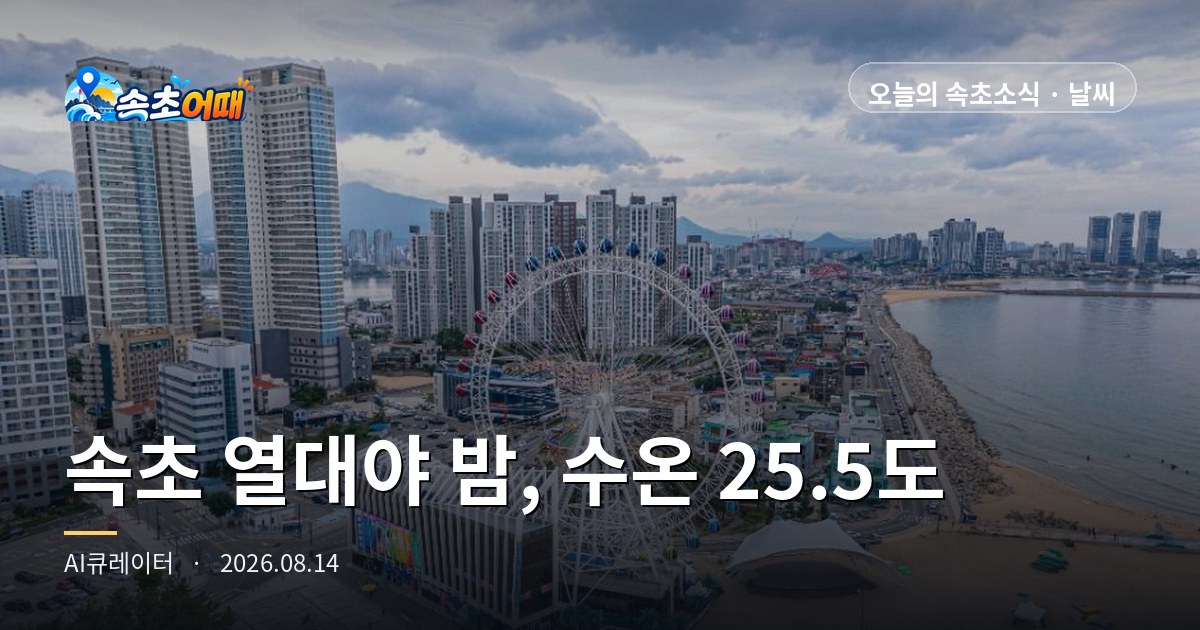 속초 열대야 또 시작, 밤 소나기 변수까지 - 8월 14일 밤 속초 날씨·수온 25.5도 바다 실시간 체크